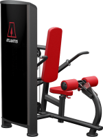 Atlantis Precision Triceps Pushdown